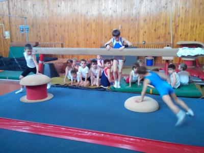 В Скопине прошёл мастер-класс по спортивной гимнастике